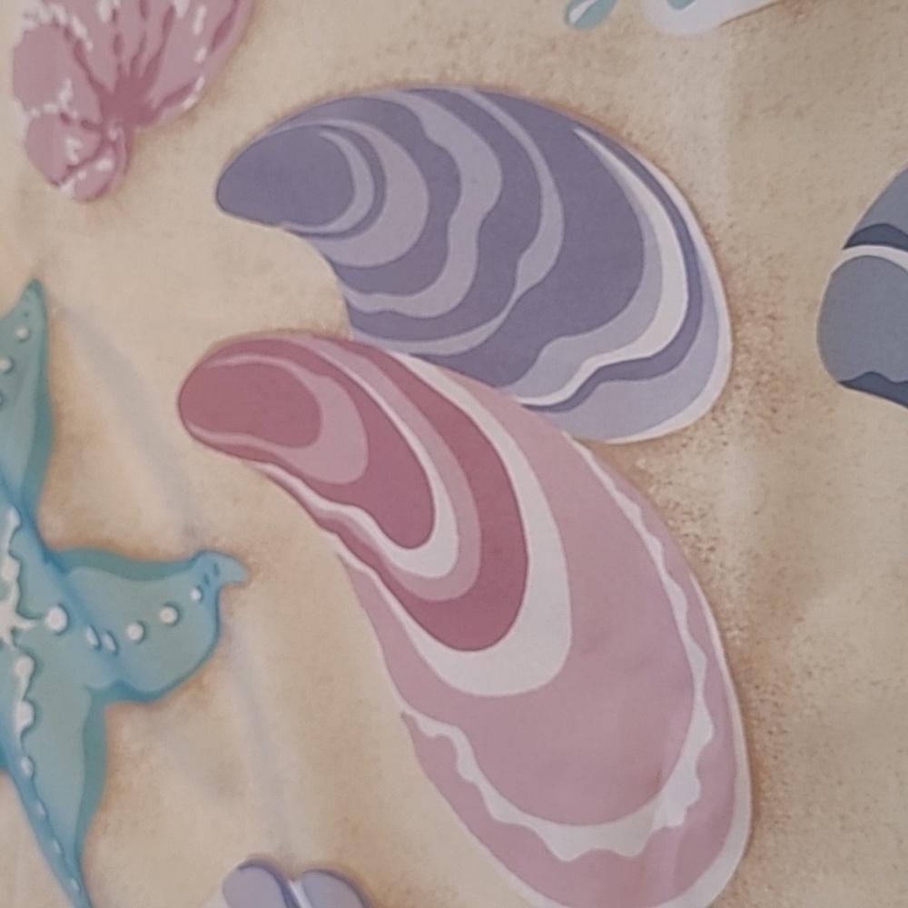 Shower Curtain In Multicolor Seashell Pattern - Picture 3 of 7